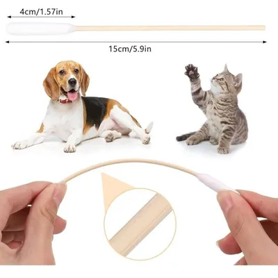 Cotons-tiges 15cm pour oreilles et dents chiens/chats (200) Cotons-tiges 15cm pour oreilles et dents chiens/chats (200)