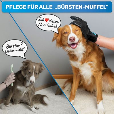 BluePet Fellhandschuh, Fellpflege Handschuh Bürste für Hund, Katze & Pferd