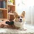 Brosse toilettage chien chat poils longs courts Brosse toilettage chien chat poils longs courts