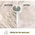 Brosse vapeur 2 en 1 rechargeable chiens chats Brosse vapeur 2 en 1 rechargeable chiens chats