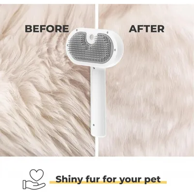Brosse vapeur 2 en 1 rechargeable chiens chats Brosse vapeur 2 en 1 rechargeable chiens chats
