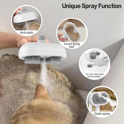 Brosse vapeur 2 en 1 rechargeable chiens chats