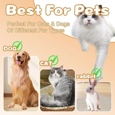 Brosse à vapeur 3 en 1 pour chiens et chats