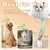 Brosse à vapeur 3 en 1 pour chiens et chats Brosse à vapeur 3 en 1 pour chiens et chats