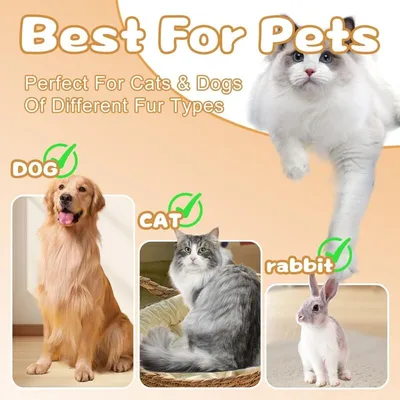 Brosse à vapeur 3 en 1 pour chiens et chats Brosse à vapeur 3 en 1 pour chiens et chats