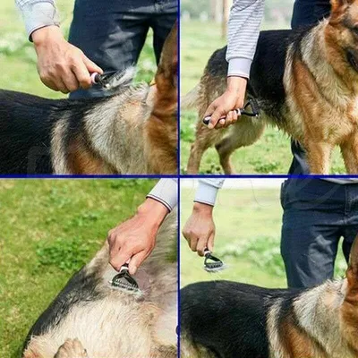 Anti-Fussel-Kamm und selbstreinigende Bürste für Hunde und Katzen