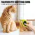 2er-Set 3-in-1-Entfilzkämme für Tiere – Entwirren und Pflege – Grün 2er-Set 3-in-1-Entfilzkämme für Tiere – Entwirren und Pflege – Grün