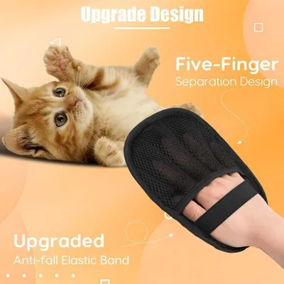 Gants de toilettage - Massage, bain et retrait des poils Gants de toilettage - Massage, bain et retrait des poils