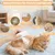 Peigne à vapeur ergonomique pour chat - Élimine poils et masse Peigne à vapeur ergonomique pour chat - Élimine poils et masse
