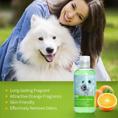 Shampoing Pro Poils Blancs - Bichon Maltais - Soin Shampoing Pro Poils Blancs - Bichon Maltais - Soin