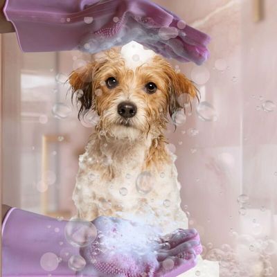 Gant de massage silicone animal toilettage nettoyage