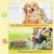 Brosse Bain 2 en 1 Chien Chat Réservoir Shampoing Brosse Bain 2 en 1 Chien Chat Réservoir Shampoing