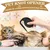 Lot de 2 peignes démêlants pour animaux - Toilettage Pro Lot de 2 peignes démêlants pour animaux - Toilettage Pro