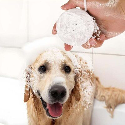 Brosse de toilettage douce en silicone - Massage et shampooing