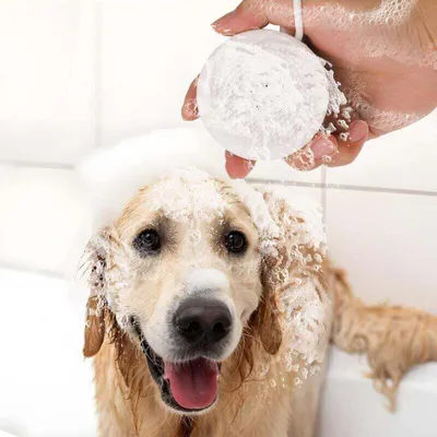 Brosse de toilettage douce en silicone - Massage et shampooing Brosse de toilettage douce en silicone - Massage et shampooing
