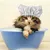 Bonnet de douche imperméable pour chiens et chats - Protège-oreilles