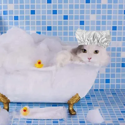 Bonnet de douche imperméable pour chiens et chats - Protège-oreilles