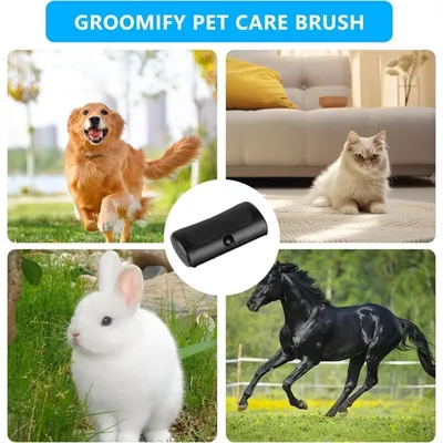 Brosse Toilettage Animaux : Démêlant et Anti-Poils Morts Brosse Toilettage Animaux : Démêlant et Anti-Poils Morts