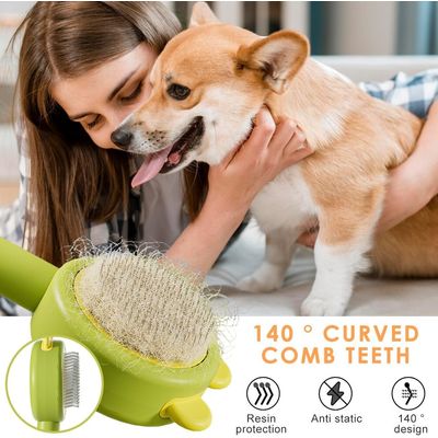 Generic - Brosse 3-en-1 - Anti-Puces Démêlante Poils Morts