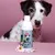 Tierliebhaber Z-Shampoo für Hunde Tierliebhaber Z-Shampoo für Hunde