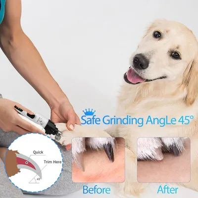 USB-Nagelschere: wiederaufladbar, zur Pfote-Pflege bei Hunden/Katzen USB-Nagelschere: wiederaufladbar, zur Pfote-Pflege bei Hunden/Katzen