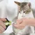 Coupe-ongles pro : acier inox, courbé, précis chiens/chats Coupe-ongles pro : acier inox, courbé, précis chiens/chats