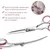 Ciseaux de toilettage courbes 6'' professionnels pour chiens et chats Ciseaux de toilettage courbes 6'' professionnels pour chiens et chats