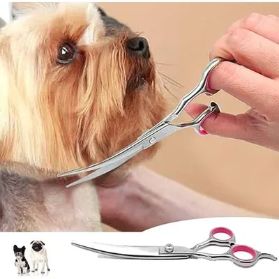 Gebogene 6-Zoll-Pflegeschere für Hunde und Katzen – Professionell