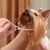 Ciseaux de toilettage courbes 6'' professionnels pour chiens et chats Ciseaux de toilettage courbes 6'' professionnels pour chiens et chats