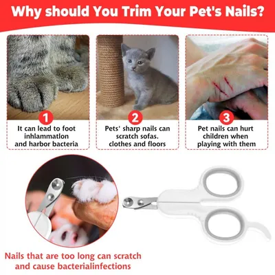 AUTRES - Coupe-ongles pro - Chat, lapin, oiseau AUTRES - Coupe-ongles pro - Chat, lapin, oiseau