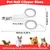 AUTRES - Coupe-ongles pro - Chat, lapin, oiseau AUTRES - Coupe-ongles pro - Chat, lapin, oiseau