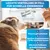 BluePet Entfilzungsspray Hunde & Katzen, natürliches Fellspray gegen Knoten