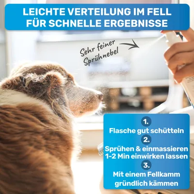 BluePet Entfilzungsspray Hunde & Katzen, natürliches Fellspray gegen Knoten