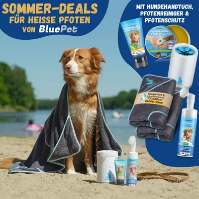 BluePet Pfotenschaum sanfter Pfotenreiniger Reinigungsschaum für Hunde