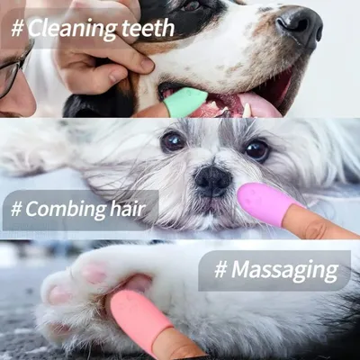 Aujzoo - Brosse à dents à doigt - Silicone chiens chats (Lot de 4) Aujzoo - Brosse à dents à doigt - Silicone chiens chats (Lot de 4)