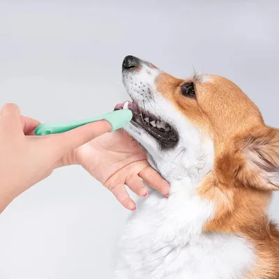 Aujzoo - Brosse à dents à doigt - Silicone chiens chats (Lot de 4) Aujzoo - Brosse à dents à doigt - Silicone chiens chats (Lot de 4)