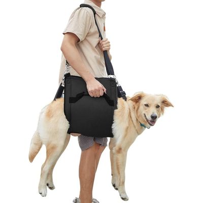 XL Hunde-Transportgeschirr, Beinstütze, Rehabilitation, Schwarz