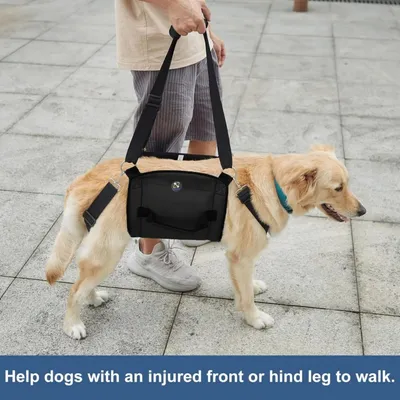 XL Hunde-Transportgeschirr, Beinstütze, Rehabilitation, Schwarz
