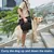 Hundetransportgeschirr M, Beinstütze, Rehabilitation, Schwarz