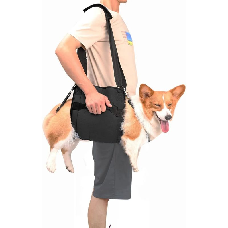 Hundetransportgeschirr M, Beinstütze, Rehabilitation, Schwarz