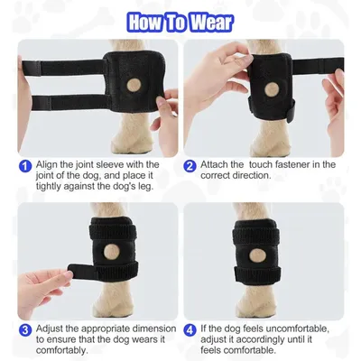 Attelle Chien – Support Articulation Arrière ACL CCL Attelle Chien – Support Articulation Arrière ACL CCL