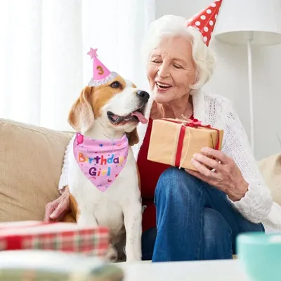 Generic - Accessoires Anniversaire Chien - Bandana et Chapeau Generic - Accessoires Anniversaire Chien - Bandana et Chapeau