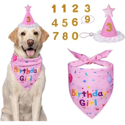 Geburtstagszubehör für Hunde – Bandana und Hut für eine niedliche Party
