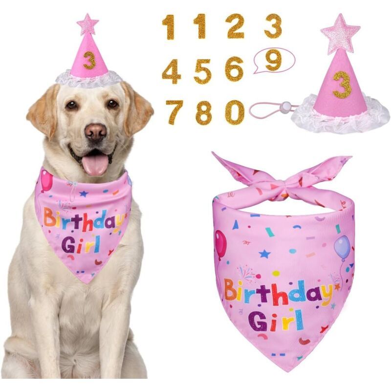 Geburtstagszubehör für Hunde – Bandana und Hut für eine niedliche Party