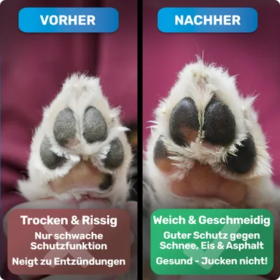 BluePet Pfotenbalsam Hund, Hundepfoten Balsam, Pfotencreme trockene Pfoten