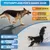 BluePet Pfotenbalsam Hund, Hundepfoten Balsam, Pfotencreme trockene Pfoten