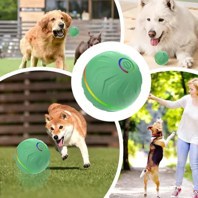 Interaktiver Hundeball, 6,6 cm, bewegungsaktiviert, USB-aufladbar, Grün
