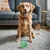 Interaktiver Hundeball, 6,6 cm, bewegungsaktiviert, USB-aufladbar, Grün