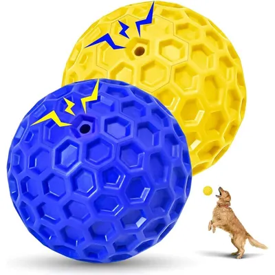 Piepsball für Hunde – robustes Spielzeug zum Kauen und Spielen