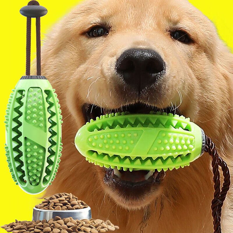 Grünes Hundespielzeug, Kauspielzeug Hunde, fördert Beschäftigung